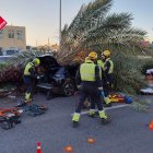 Muere un hombre al caer una palmera sobre su vehículo en la CV-905 en Torrevieja

REMITIDA / HANDOUT por CONSORCIO PROVINCIAL BOMBEROS ALICANTE
Fotografía remitida a medios de comunicación exclusivamente para ilustrar la noticia a la que hace referencia la imagen, y citando la procedencia de la imagen en la firma
14/11/2025