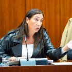 La consejera de Inclusión Social, Igualdad y Familias de la Junta de Andaucía, Loles López.