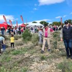 Reforestación de Alicante Renace