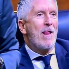 Fernando Grande-Marlaska, con sus gestos en el Congreso.