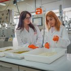 Investigadoras de Ainia

REMITIDA / HANDOUT por AINIA
Fotografía remitida a medios de comunicación exclusivamente para ilustrar la noticia a la que hace referencia la imagen, y citando la procedencia de la imagen en la firma
22/5/2025