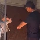 Captura de uno de los vídeos filtrados