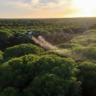 Tratamiento contra la procesionaria con drones en pinares de Andalucía.