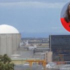 Central nuclear de Almaraz y la candidata de UPEx, Irene de Miguel