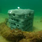 Arrecife artificial fabricado por la UC en Santander

REMITIDA / HANDOUT por UNIVERSIDAD DE CANTABRIA
Fotografía remitida a medios de comunicación exclusivamente para ilustrar la noticia a la que hace referencia la imagen, y citando la procedencia de la imagen en la firma
21/5/2020