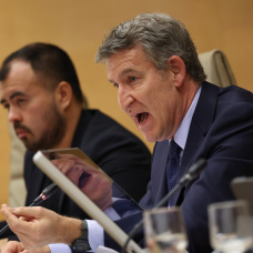 El presidente del PP, Alberto Nuñez Feijóo, comparece en la Comisión de investigación de la Dana en el Congreso.