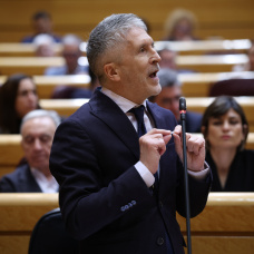 El ministro del Interior, Fernando Grande-Marlaska, en su intervención durante una sesión plenaria en el Senado.