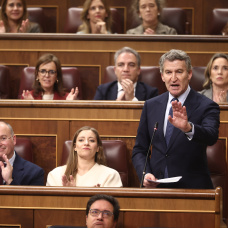 El presidente del PP, Alberto Núñez Feijóo interviene en el Congreso de los Diputados.