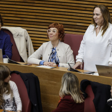 Raquel Cámara promete su cargo como nueva diputada del PSPV en Les Corts en sustitución de Sonia Borruey

ROBER SOLSONA/EUROPA PRESS
18/2/2026
