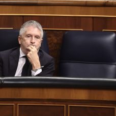 El ministro del Interior, Fernando Grande-Marlaska, en el Congreso de los Diputados.