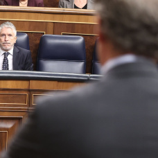 Alberto Núñez Feijóo interviene en el Congreso mientras Marlaska le escucha.