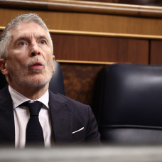 El ministro del Interior, Fernando Grande-Marlaska, durante una sesión de control al Gobierno, en el Congreso de los Diputados, a 18 de febrero de 2026
