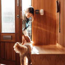 Preparación y cariño en el día a día: tener un botiquín para perros en casa es un gesto de responsabilidad que puede marcar la diferencia en una urgencia.