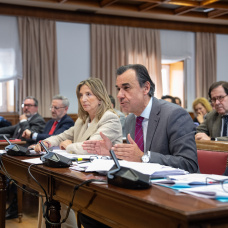 Fernando Martínez-Maíllo,  PP