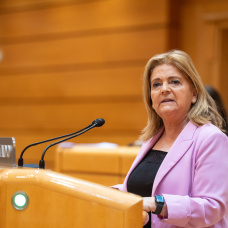 María Jesús Bonilla, senadora deel PP