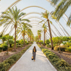 El Umbracle de la Ciudad de las Artes y las Ciencias, uno de los espacios más fotografiados.