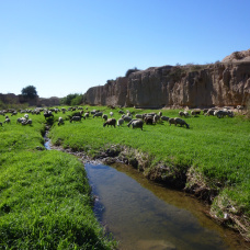 Barranco de Alicante.