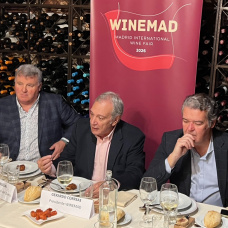 Presentación de WineMad