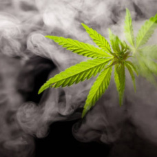 Marihuana