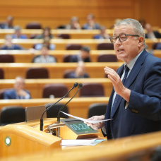 El senador del PP, Francisco Bernabé