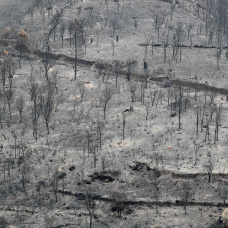 Efectos del incendio de Larouco, a 11 de septiembre de 2025, en Ourense, Galicia (España).