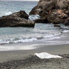 Imagen de archivo de un cadáver encontrado en una playa de Granada.