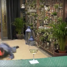 La caída de un comensal de First Dates.