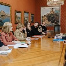 Reunión de la comisión municipal sobre VPP del Ayuntamiento de Alicante, en imagen de archivo.