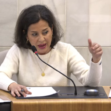 La portavoz de Vox en la Diputación de Alicante, Gema Alemán, en el pleno de este miércoles.