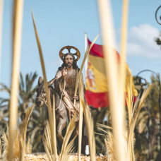 Celebración del Domingo de Ramos en Elche.