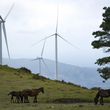 Gestamp E Iberdrola Firman Un Acuerdo Para El Suministro De Energía Limpia durante 10 Años