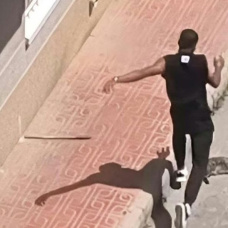 Imagen remitida por Pacma sobre la supuesta agresión al animal en Torrevieja.

REMITIDA / HANDOUT por PACMA
Fotografía remitida a medios de comunicación exclusivamente para ilustrar la noticia a la que hace referencia la imagen, y citando la procedencia de la imagen en la firma
29/4/2026