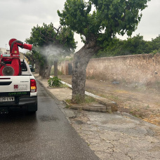 Un vehículo durante el proceso antiplagas.