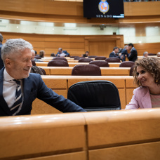 El ministro del Interior, Fernando Grande-Marlaska y por entonces ministra de Hacienda, María Jesús Montero.