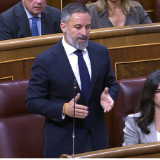 El líder de Vox en el Congreso, Santiago Abascal