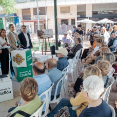Juntas de gobierno itinerantes