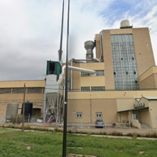 Planta de Lagarto en Zaragoza
