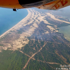 Incendio en el paraje del Rincón del Membrillo, en Almonte (Huelva), dentro del Parque Nacional de Doñana.