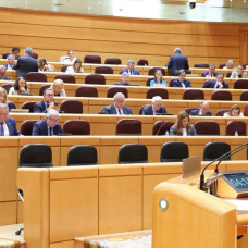 Senado