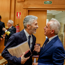 El ministro del Interior, Fernando Grande-Marlaska y el senador del PSOE, Alfonso Carlos Moscoso