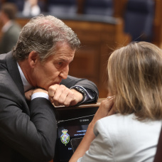 El presidente del PP, Alberto Núñez Feijóo, durante una sesión plenaria en el Congreso de los Diputados