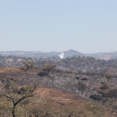 Medios aéreos trabajan en las labores de extinción del incendio forestal declarado el pasado lunes en el municipio onubense de Villanueva de los Castillejos. 
10/6/2026