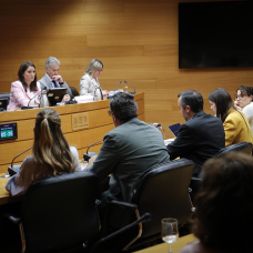 Comisión de investigación sobre las adjudicaciones de viviendas de protección pública (VPP).