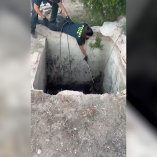 Operación de la Guardia Civil para la liberación del zorro.