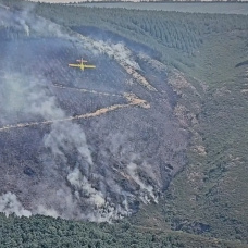 Incendio forestal de Espina de Tremor (León)