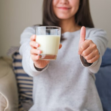 Leche vegetal