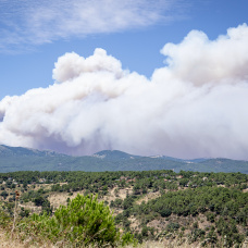 Vista de una espesa columna de humo provocada por el incendio en Almorox, Toledo.