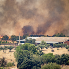 Vista del incendio forestal, a 25 de julio de 2026, en San Martín de Valdeiglesias.
