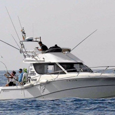 Un barco de pesca recreativa