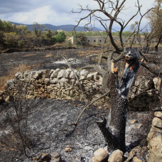 (Foto de ARCHIVO) Terrenos quemados junto a Catí por el incendio de Tírig